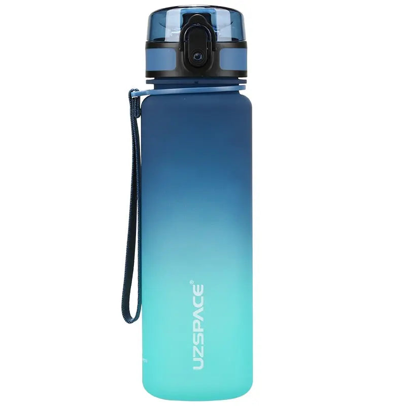 Gradient Plastic Frosted Sports Water Bottle Blue and Green