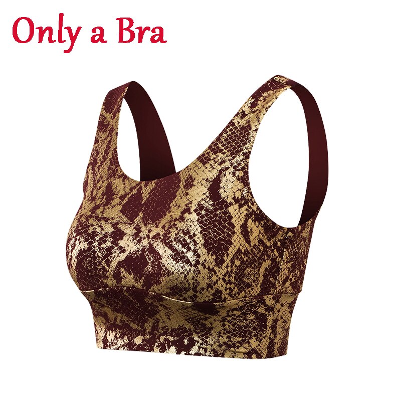 Women Snake Pattern Gym Set BrownRed A Bra