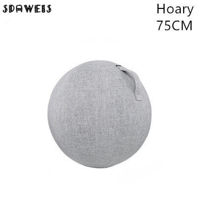 Fitness Dustproof Ball Cover Hoary 75CM