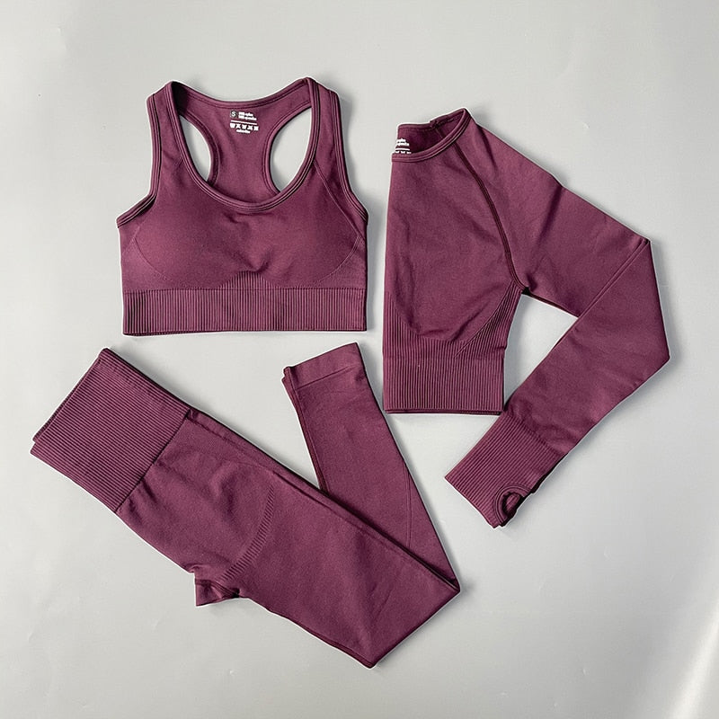 Seamless Women Sports Yoga Set 3Pcs Set PurpleRed