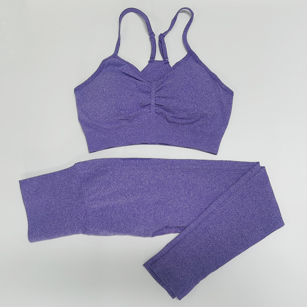 Gym Seamless Workout Clothes BraSet Purple