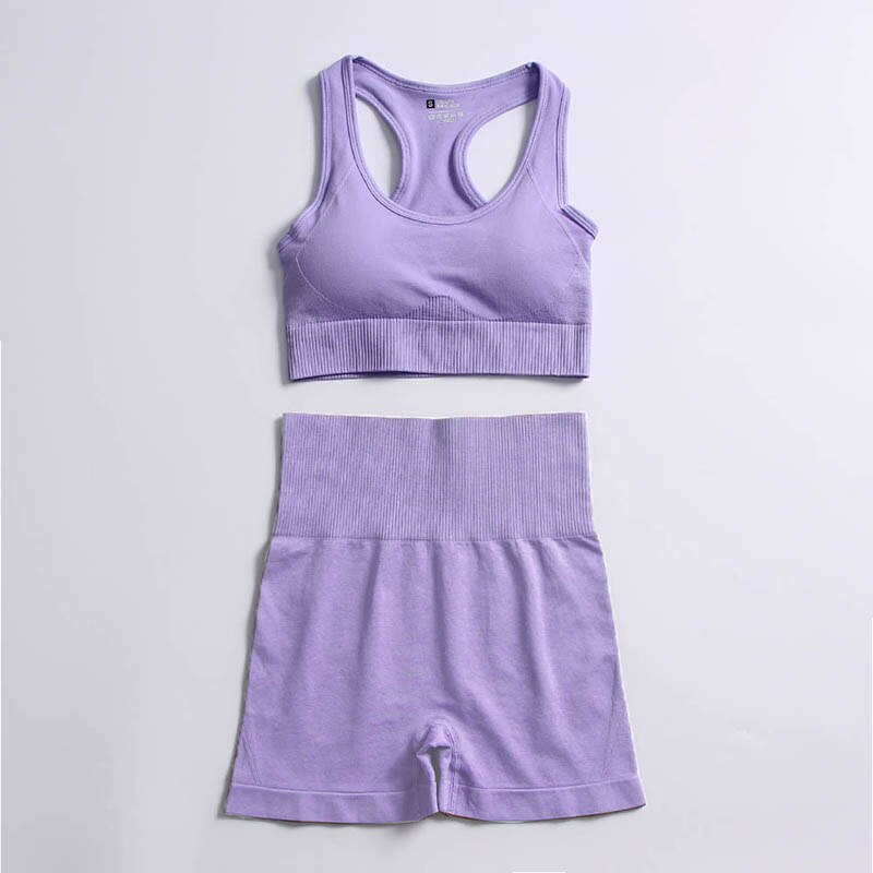 Women Long Sleeve hyperflex gym clothes Bra shorts Purple