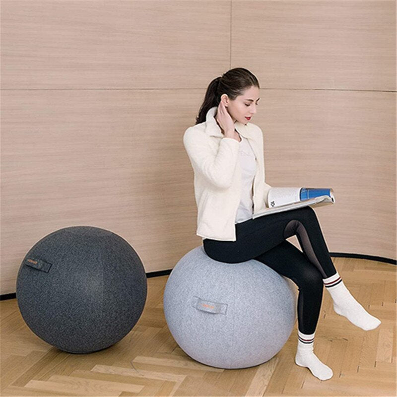 Fitness Dustproof Ball Cover