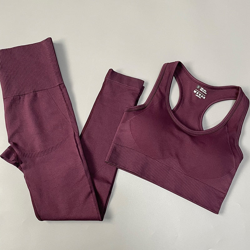 Seamless Women Sports Yoga Set Bra Pants PurpleRed