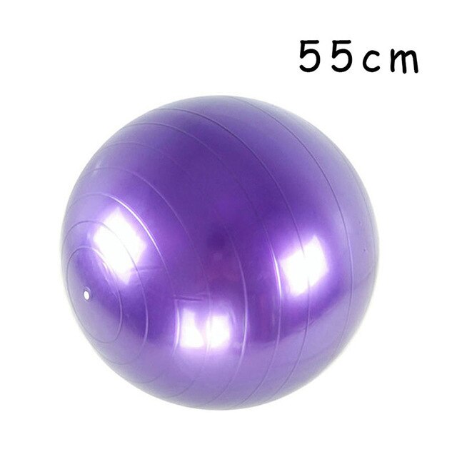 PVC Fitness Balls Purple 55cm