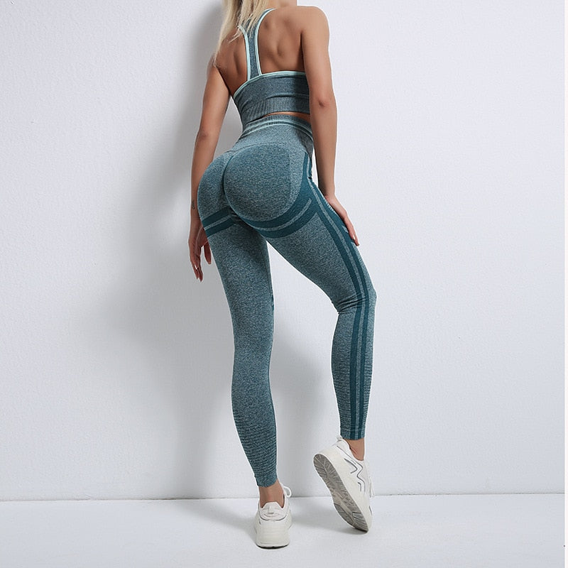 Seamless Women Gym Suits