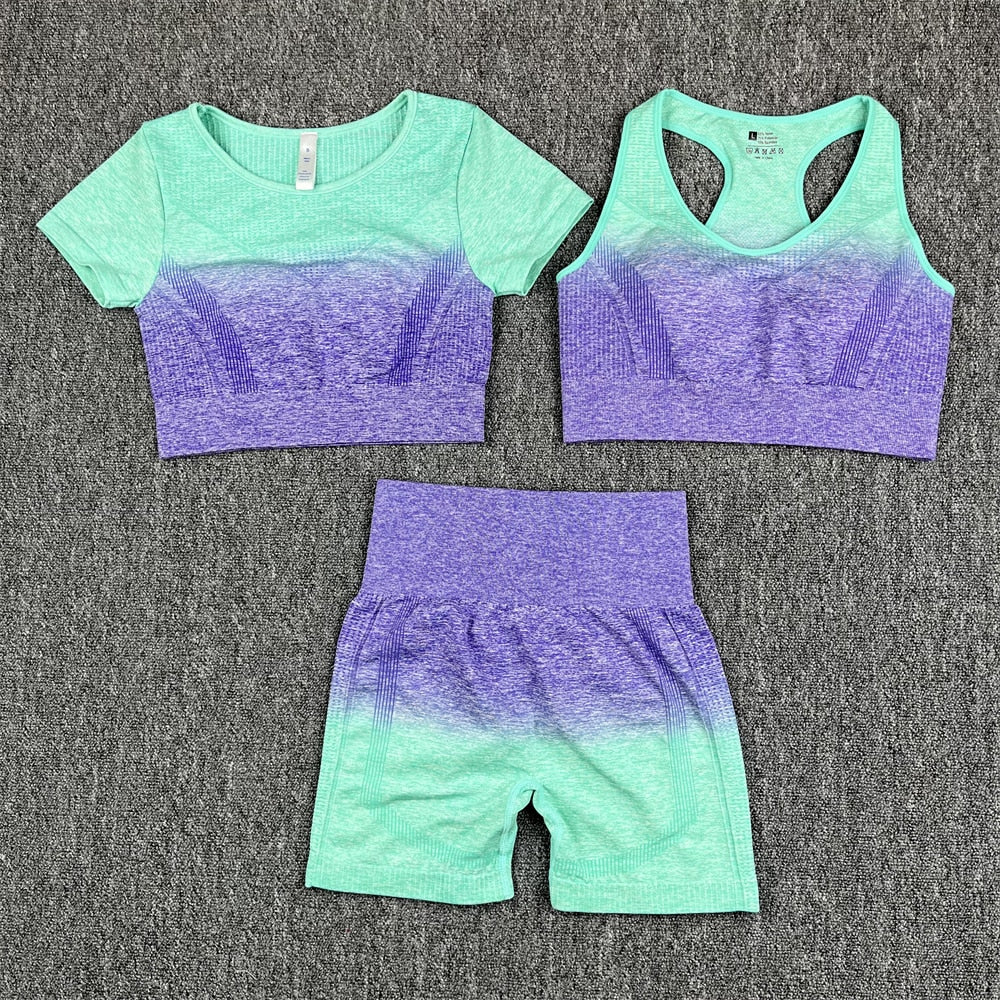 Seamless Women Crop Top Yoga Set Purple 3Pcs Set C