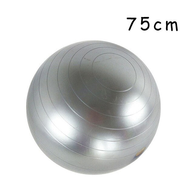 PVC Fitness Balls Grey 75cm