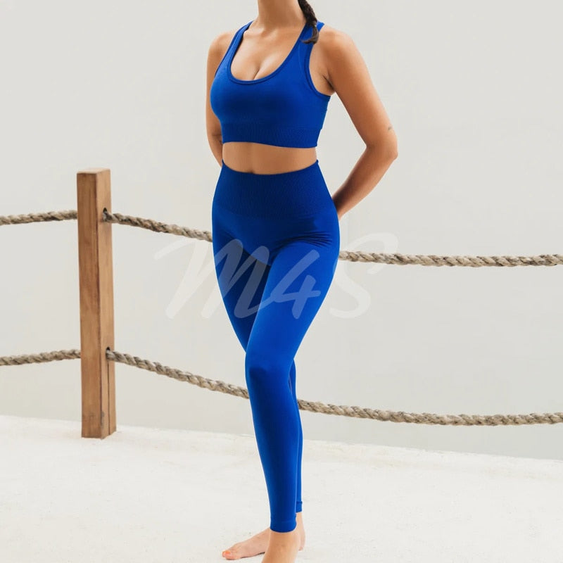 Seamless Ribbed Women Yoga Set