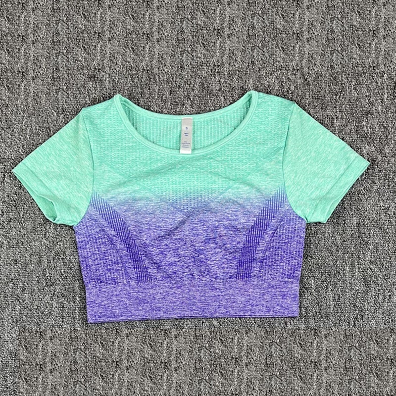 Seamless Women Crop Top Yoga Set Purple T-shirt