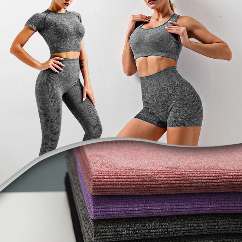 Women Seamless Gym Suits