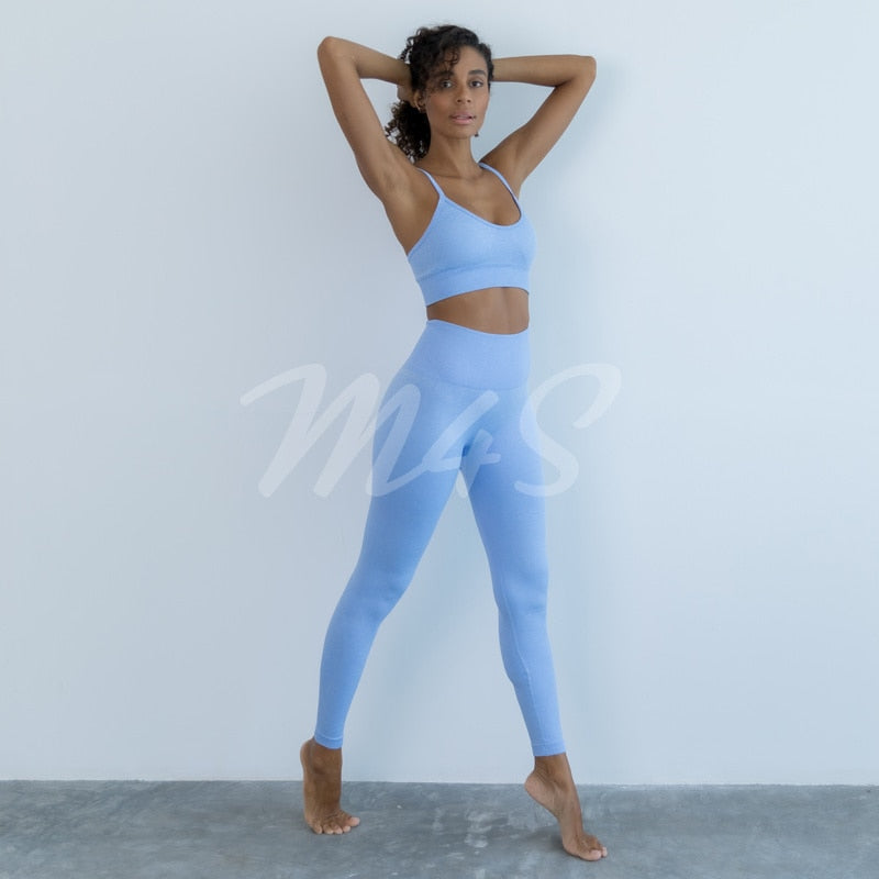 Seamless Ribbed Women Yoga Set