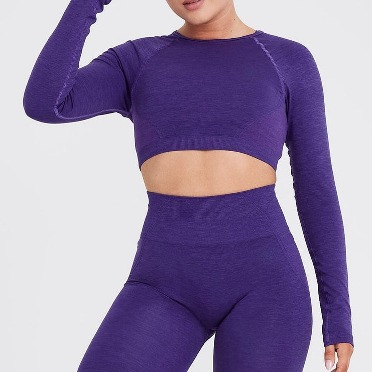 Effortless Women Seamless Yoga Set B-Amethyst Set