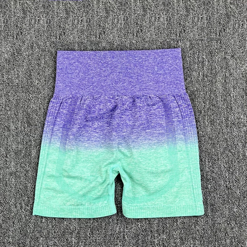 Seamless Women Crop Top Yoga Set Purple Shorts