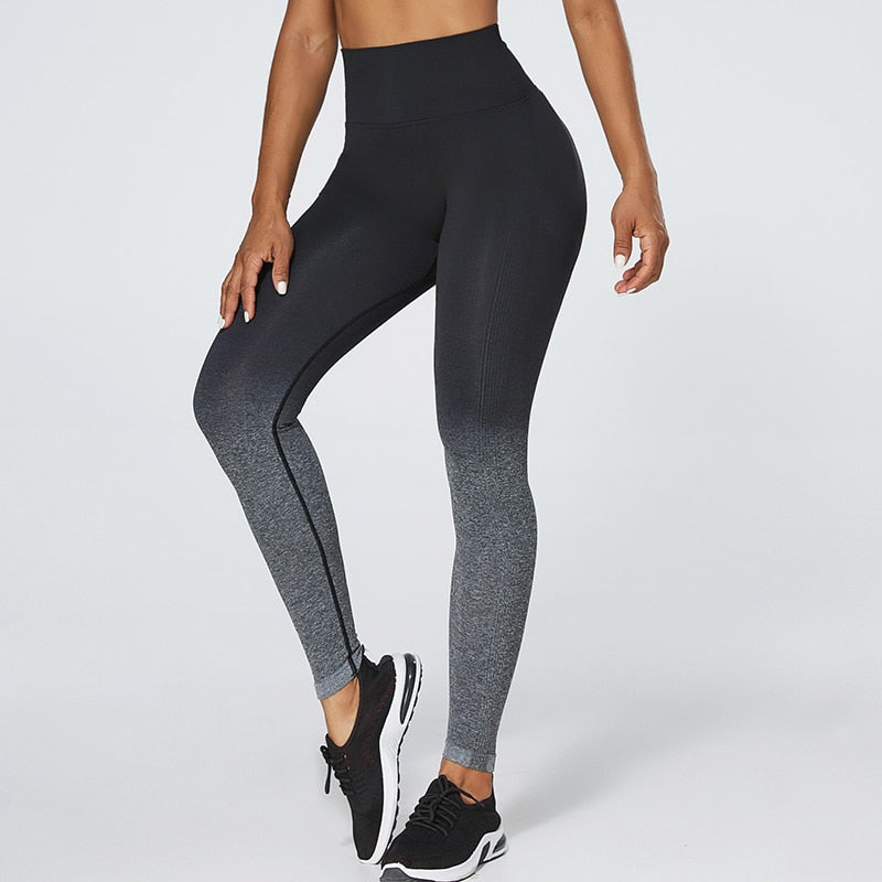 Women Gradient Color Energy Legging