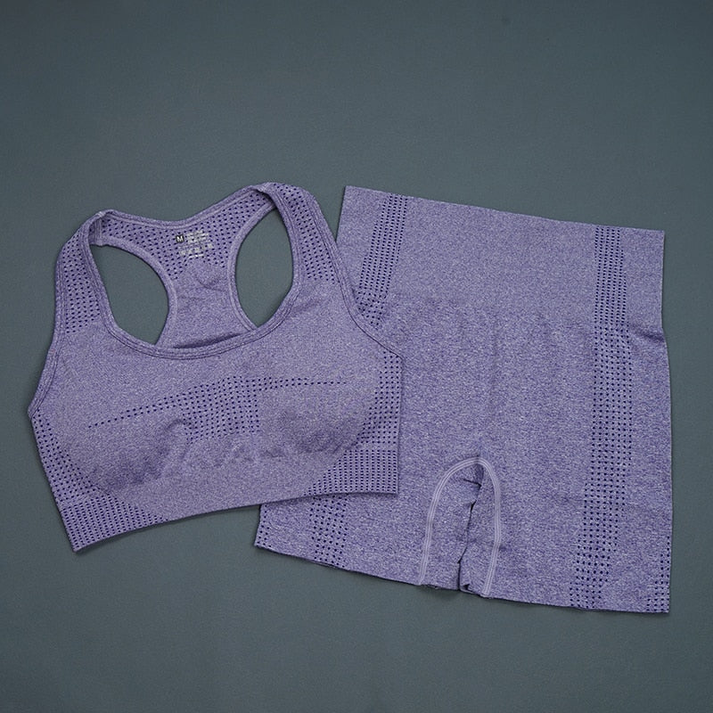 Women Seamless Gym Suits Bra Shorts Purple