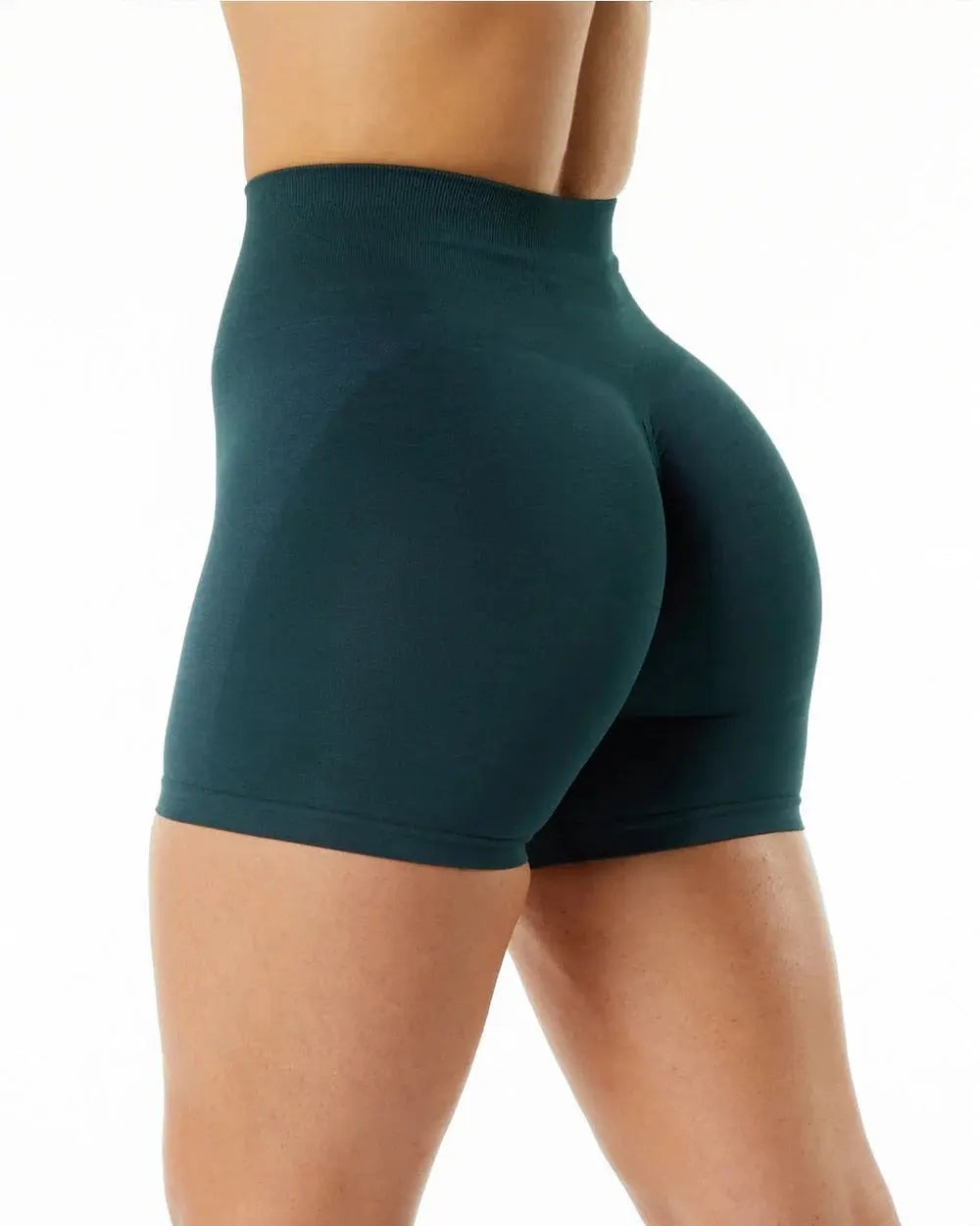 Women High Waist Amplify Seamless Shorts Midnight